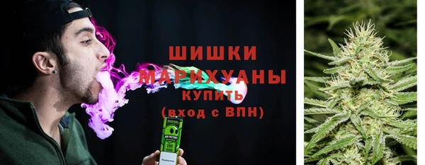 гидра Володарск
