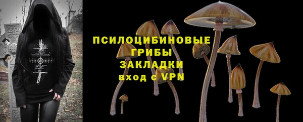 гидра Володарск