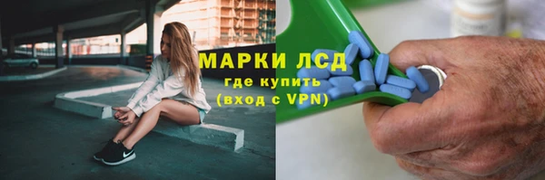 гидра Володарск
