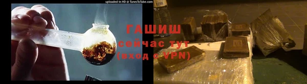 гидра Володарск