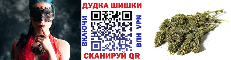 Шишки марихуана семена  мориарти какой сайт  Гатчина 